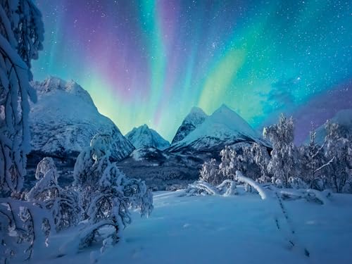 Ravensburger Puzzle 12000802 - Wenn die Nordlichter tanzen - 1500 Teile Puzzle für Erwachsene und Kinder ab 14 Jahren, Puzzle mit Landschaft und Natur