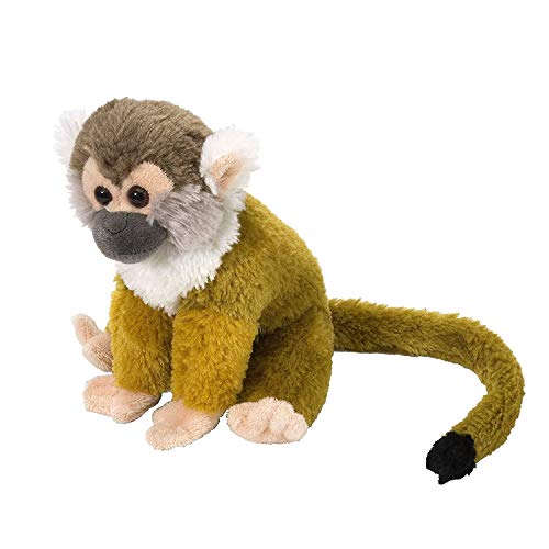 Wild Republic 11912 Plüsch Totenkopfäffchen Cuddlekins Kuscheltier, Plüschtier, 20cm