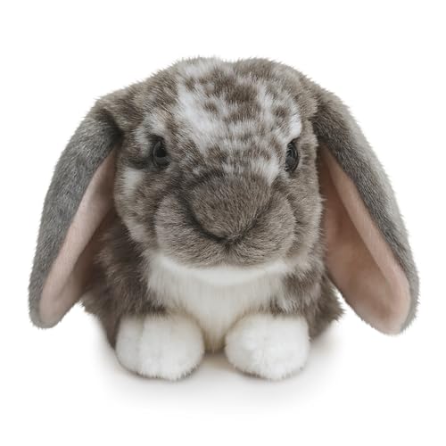 Living Nature Graues holländisches Lop Eared Hase Stofftier Plüschtier | Flauschiges Kaninchen Tier | Stofftier Geschenk für Kinder | Jungen und Mädchen Stoffpuppe | Naturli Umweltfreundliche Plushies