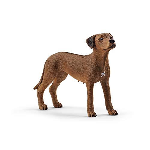 SCHLEICH 13895 Rhodesian Ridgeback, für Kinder ab 3+ Jahren, Farm World - Spielfigur