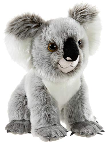 Bedrohte Tiere Koala