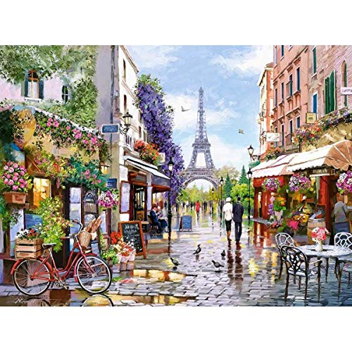 Castorland Puzzle 3000 Teile – Flowering, Paris